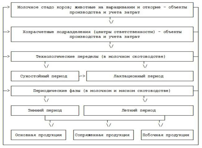 Методическими рекомендациями по бухгалтерскому учету затрат. Объект учета затрат это. Методические рекомендации по учёту затрат. Методические рекомендации по бухгалтерскому учету затрат. Распред затрат в Молочном скотоводстве.